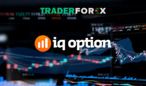 iq option