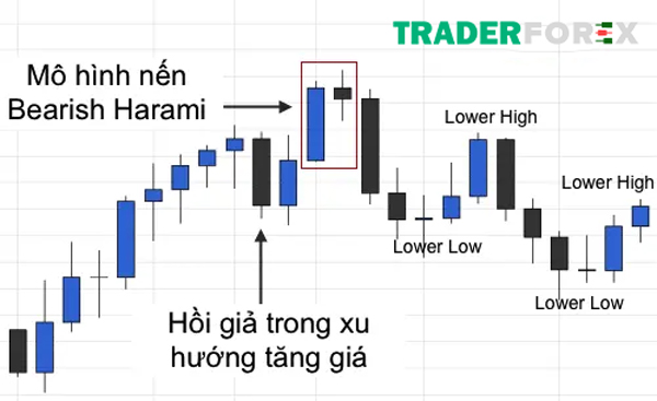 Lower Lows và Lower Highs
