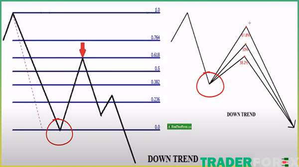Khi thị trường downtrend