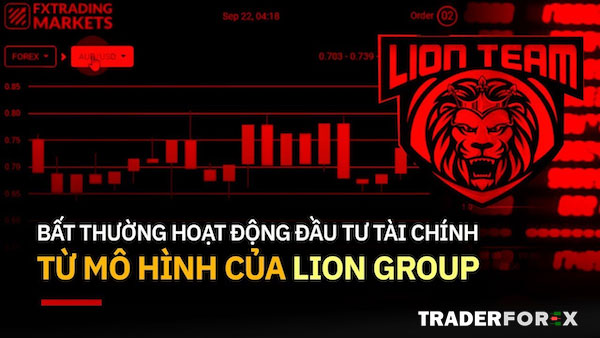 Cách thức hoạt động của Lion Team