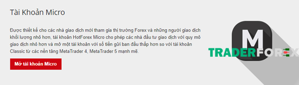 Micro Account