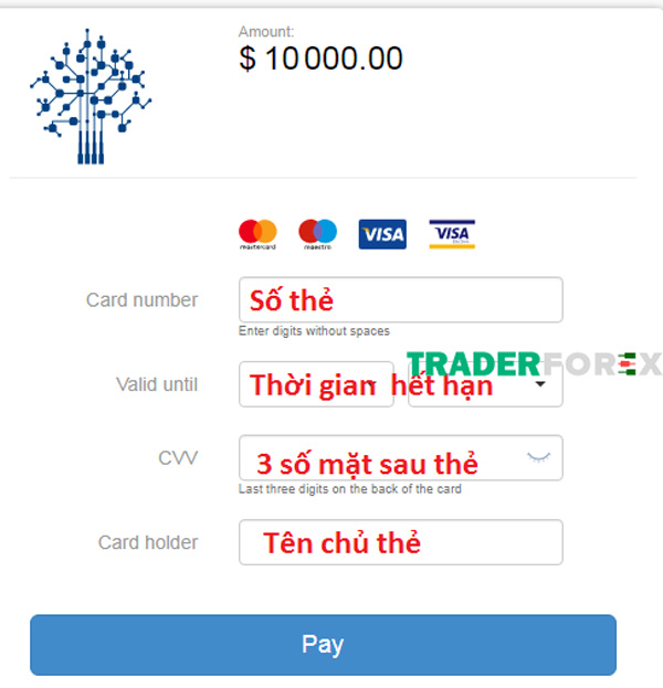 Điền thông tin để nạp tiền vào tài khoản