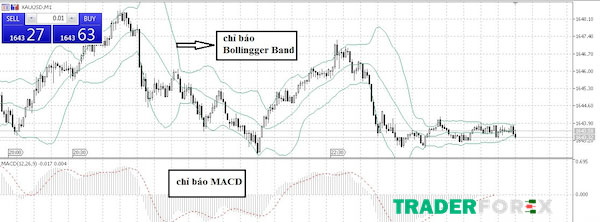 Chỉ báo thường xuất hiện ngay trên đồ thị giá hoặc tách biệt độc lập