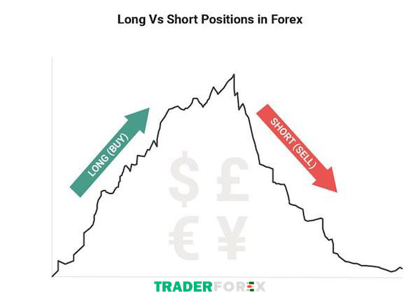 Tìm hiểu về Long Position và Short Position