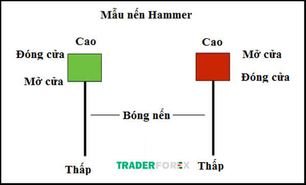 Áp dụng những khung thời gian nào cho mô hình Hammer?