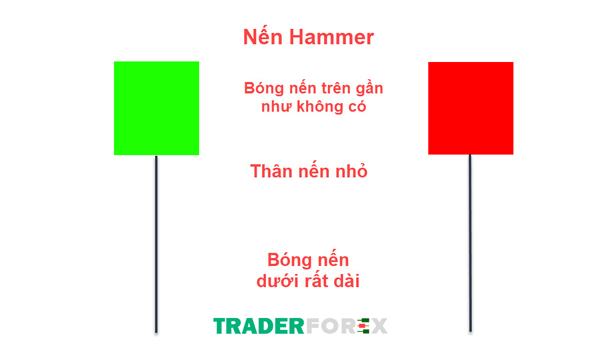Mô hình Nến Hammer