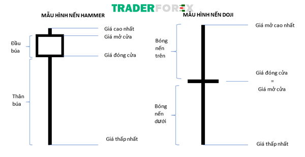 Mô hình nến Hammer với mô hình nến Dragonfly Doji