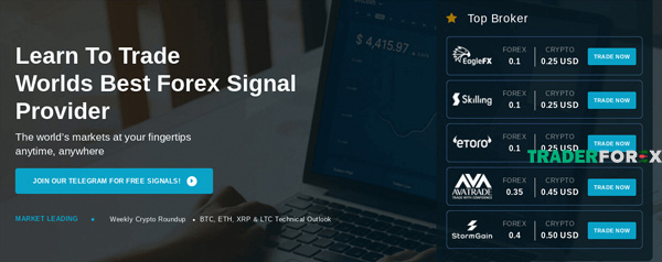 Robot Forex không thể thay thế con người một số khả năng nhất định