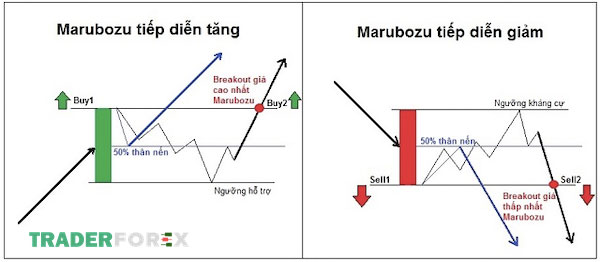 Nến Marubozu hình thành các mức hỗ trợ và kháng cự