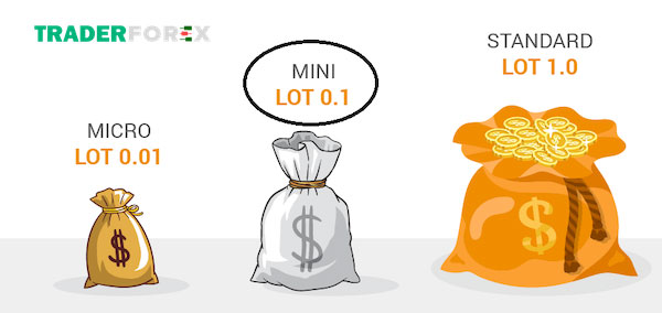 Kích thước của Lot là gì?