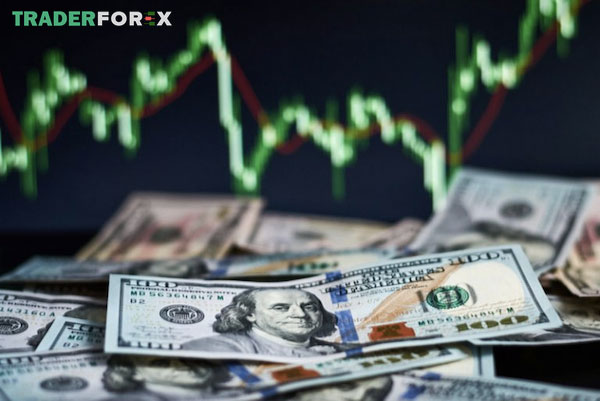 Lợi nhuận của Forex Broker đến từ đâu?