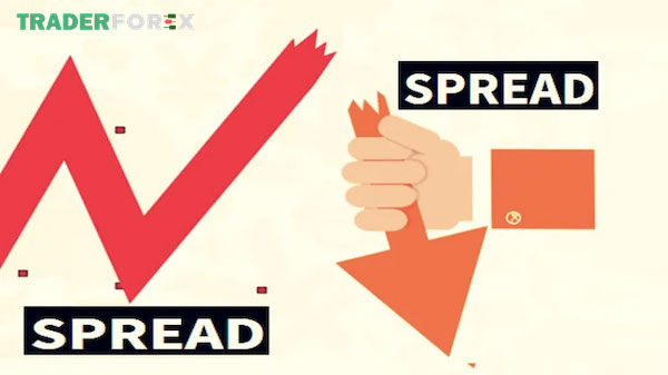 Spread là một trong những lợi nhận của Broker