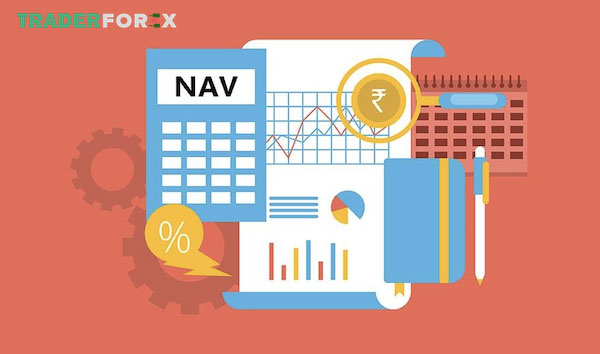 Những vấn đề liên quan đến pháp lý