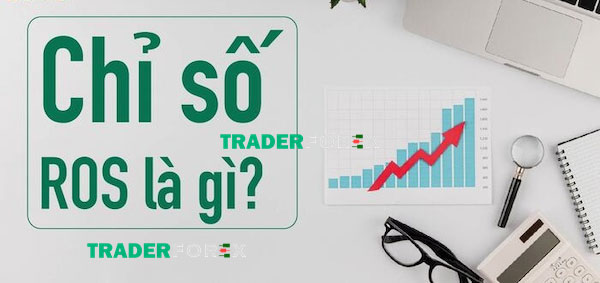 Ý nghĩa của ROS với các nhà đầu tư