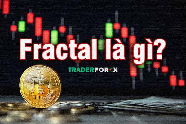 Những đặc điểm của chỉ báo fractal thể hiện