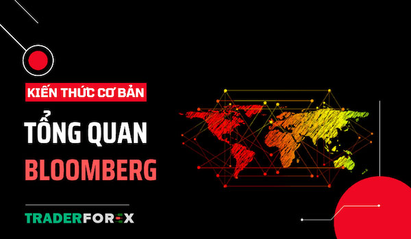 Có nên mua Bloomberg không?