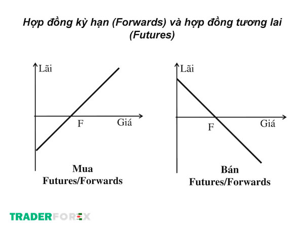 Sự khác biệt cơ bản giữa hợp đồng kỳ hạn và hợp đồng tương lai