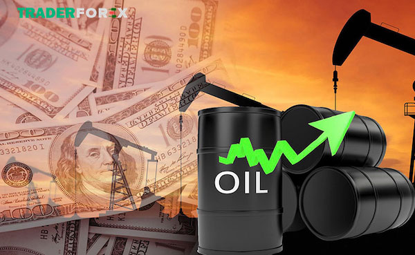 Tìm hiểu chi tiết về mã dầu forex hiện nay