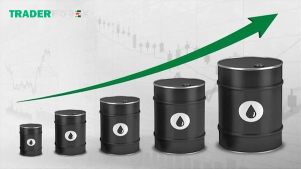 Dầu thô được hiểu là gì?