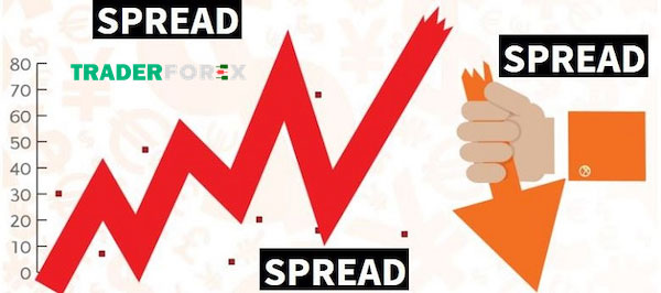 Tại sao Spread được xếp loại là một loại phí?