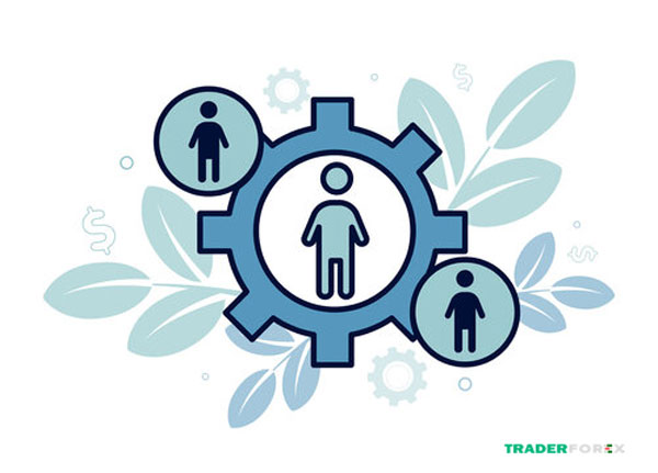 Vai trò của định chế tài chính