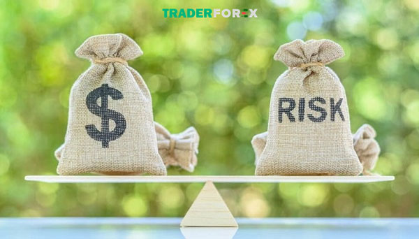 Mức độ chấp nhận rủi ro trung bình 