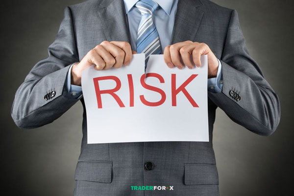 Nhận xét về Risk Tolerance 