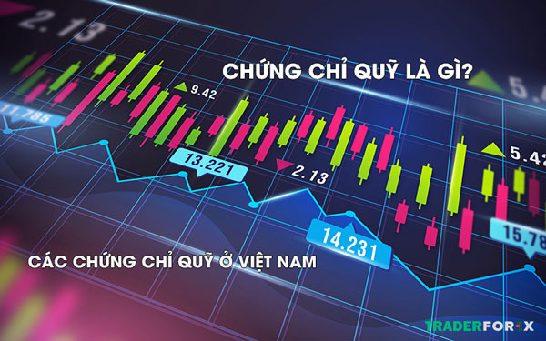 Chứng chỉ quỹ là gì? 