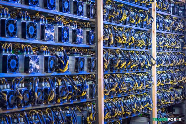 Hệ thống máy đào coin quy mô lớn