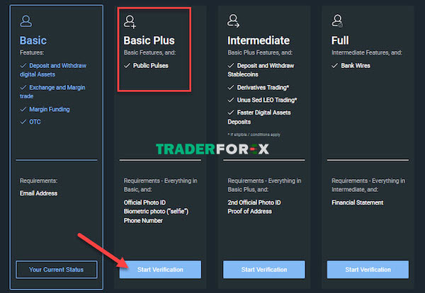 Chọn Start Verification để bắt đầu xác minh danh tính