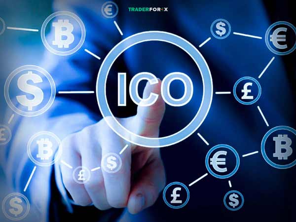 Ai có thể tổ chức dự án ICO 