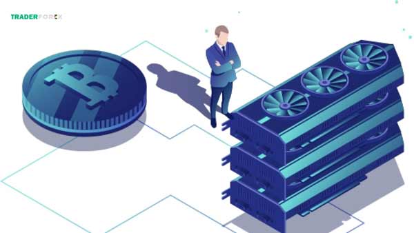 Những thông tin cần biết về IFO 