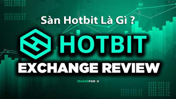 Giải đáp các câu hỏi liên quan đến Hotbit 
