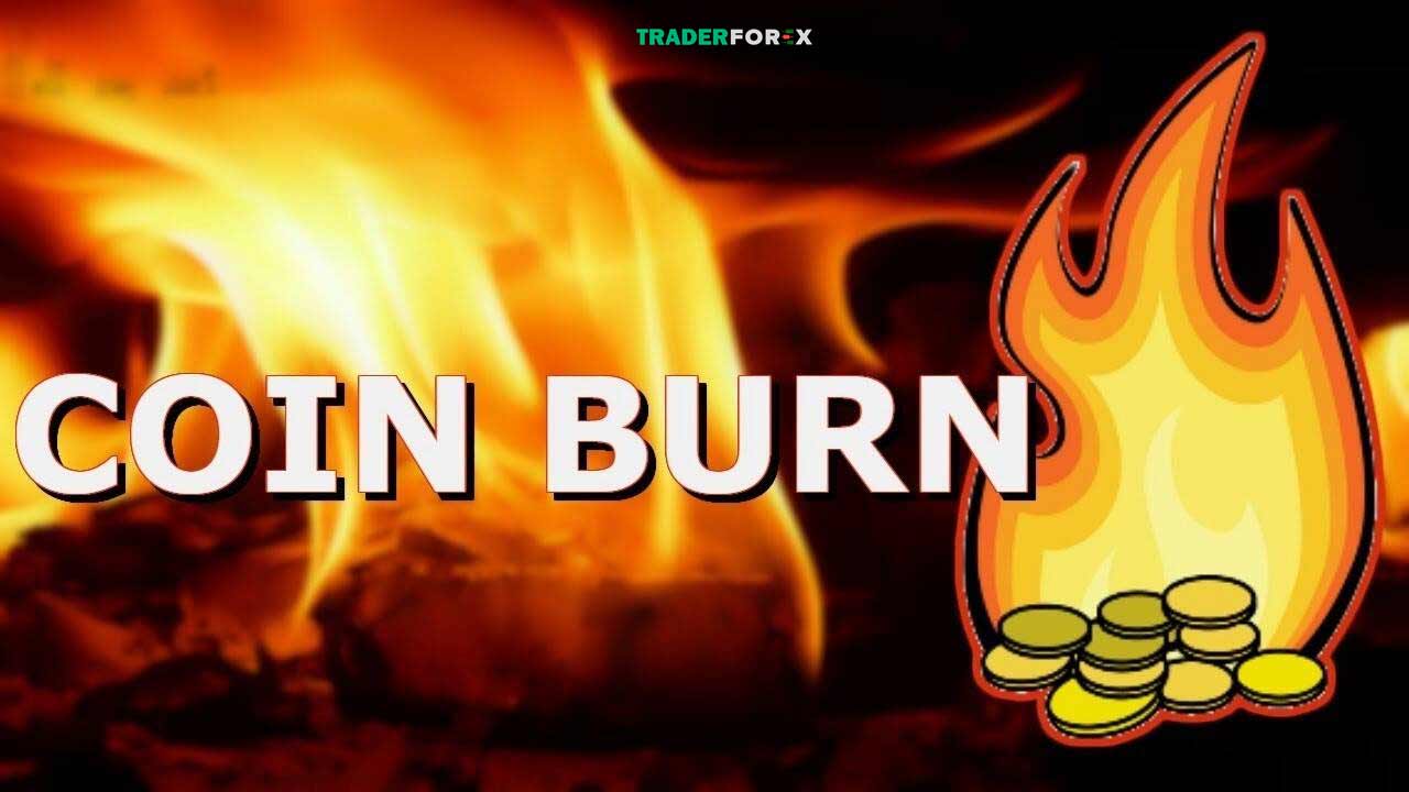 Thế nào là coin burn?