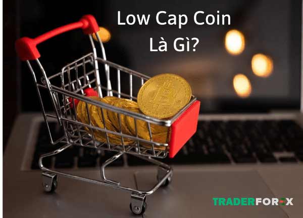 Theo dấu các dòng tiền là gì?