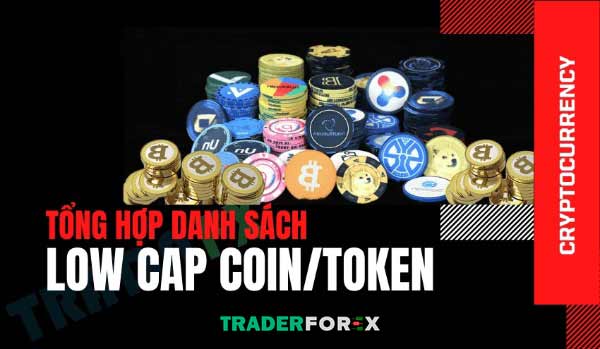 Dựa vào chia sẻ và kết nối