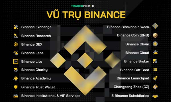 Vũ Trụ Binance Fan Token 