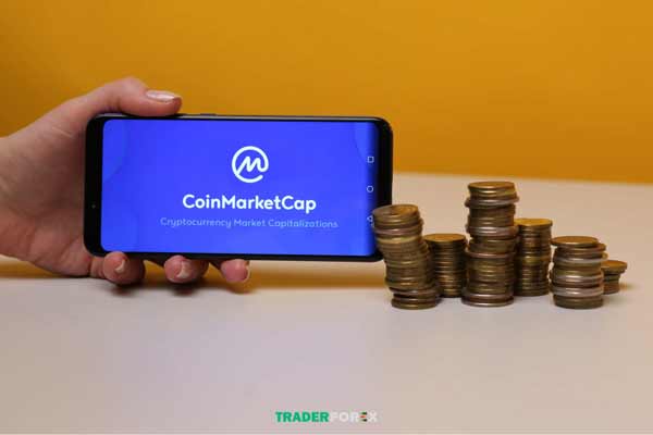 Market Cap có quan trọng hay không? 