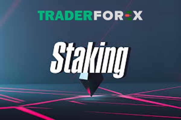 Lợi ích của Staking với các nhà đầu tư 