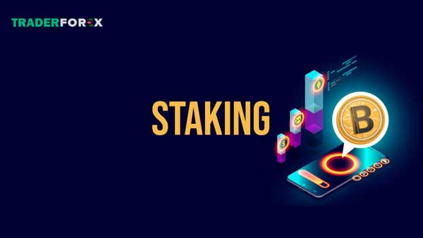 Thuật ngữ Staking 