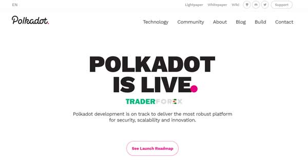 Polkadot 