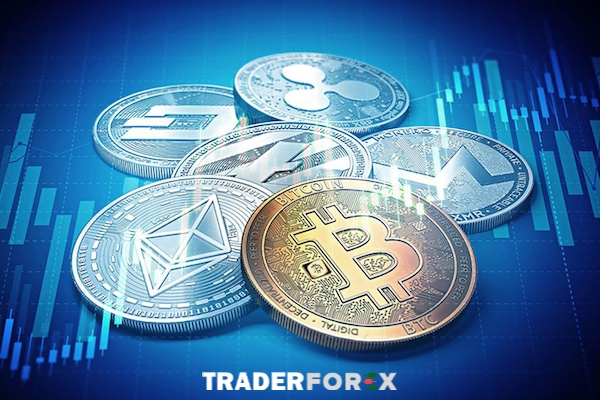 Các đồng coin nền tảng nổi bật