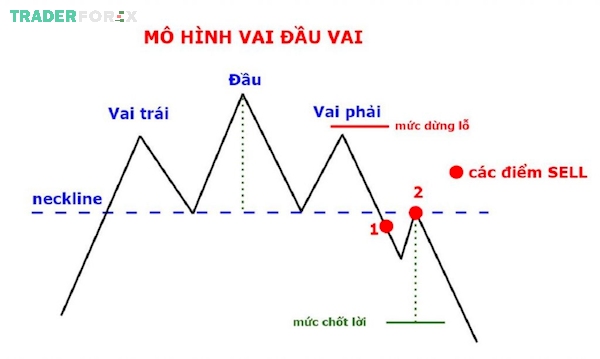 Minh họa mô hình vai đầu vai thuận