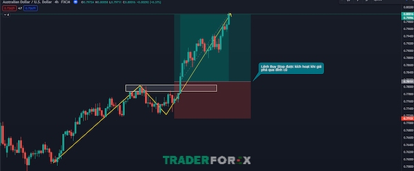 Trader có thể kết hợp với nhiều công cụ khác nhau để xác định tín hiệu đảo chiều