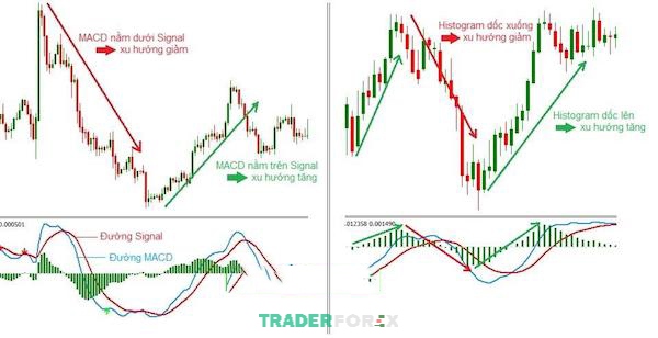 Vị trí và độ dốc của MACD phản ánh xu hướng chính của giá