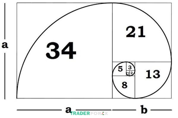 Fibonacci cũng có tỷ lệ vàng như các lĩnh vực khác