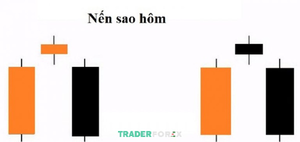 Đặc điểm cấu tạo của nến sao hôm