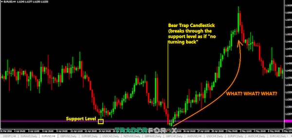 Ví dụ điển hình về Bear Trap trên thực tế
