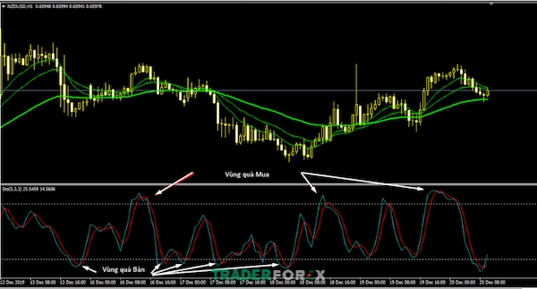 Stochastic còn cung cấp các tín hiệu giao dịch quan trọng cho trader