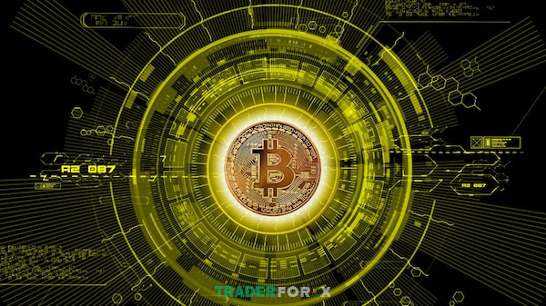 Satoshi đưa ra luận cứ chặt chẽ về một thế giới không có chính phủ và các cơ quan chính quyền trong bài luận của mìnhHacker top đầu thế giới khẳng định Satoshi là một thiên tài máy tính và bảo mật hoặc anh đang có sự hỗ trợ từ đội ngũ giàu kinh nghiệm